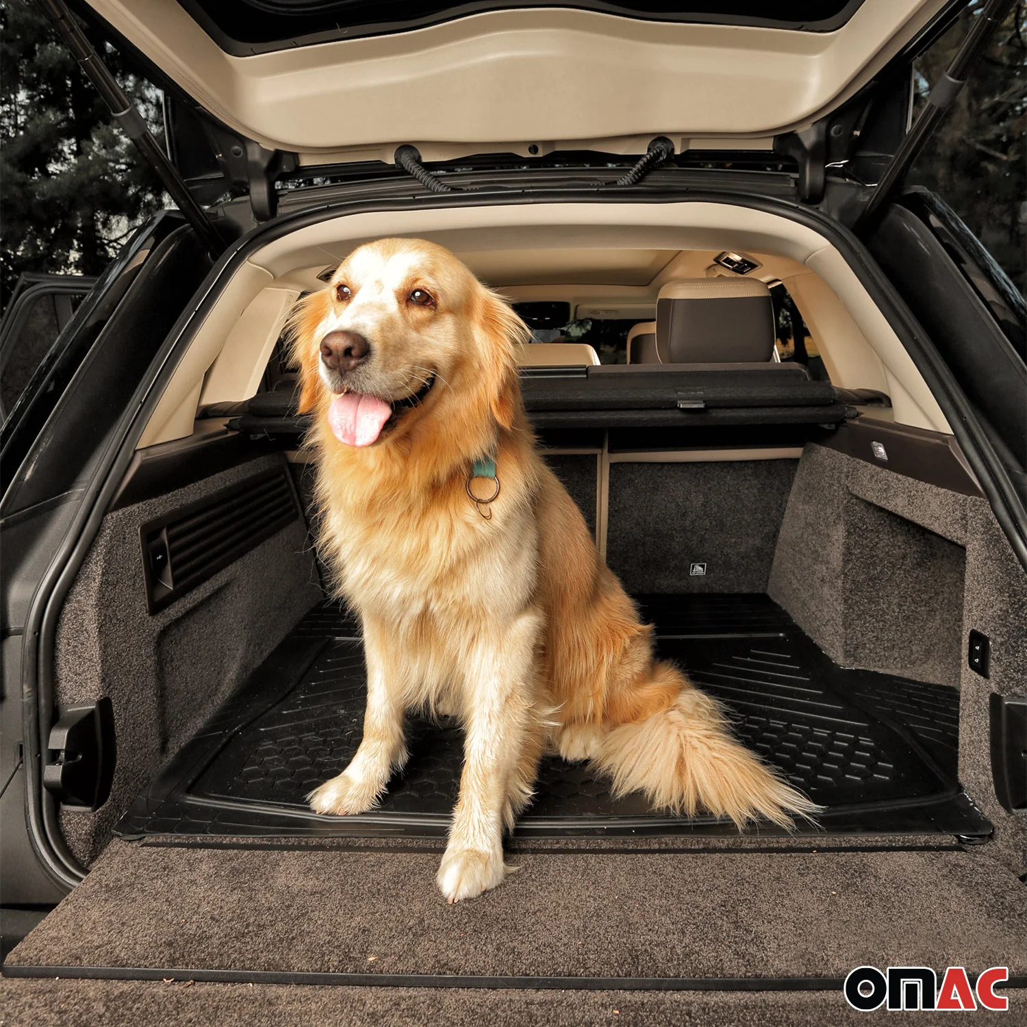 Chrysler Semi-Custom fit Floor Mats & Cargo Liner Waterproof Rubber Black 6Pcs - Image 7